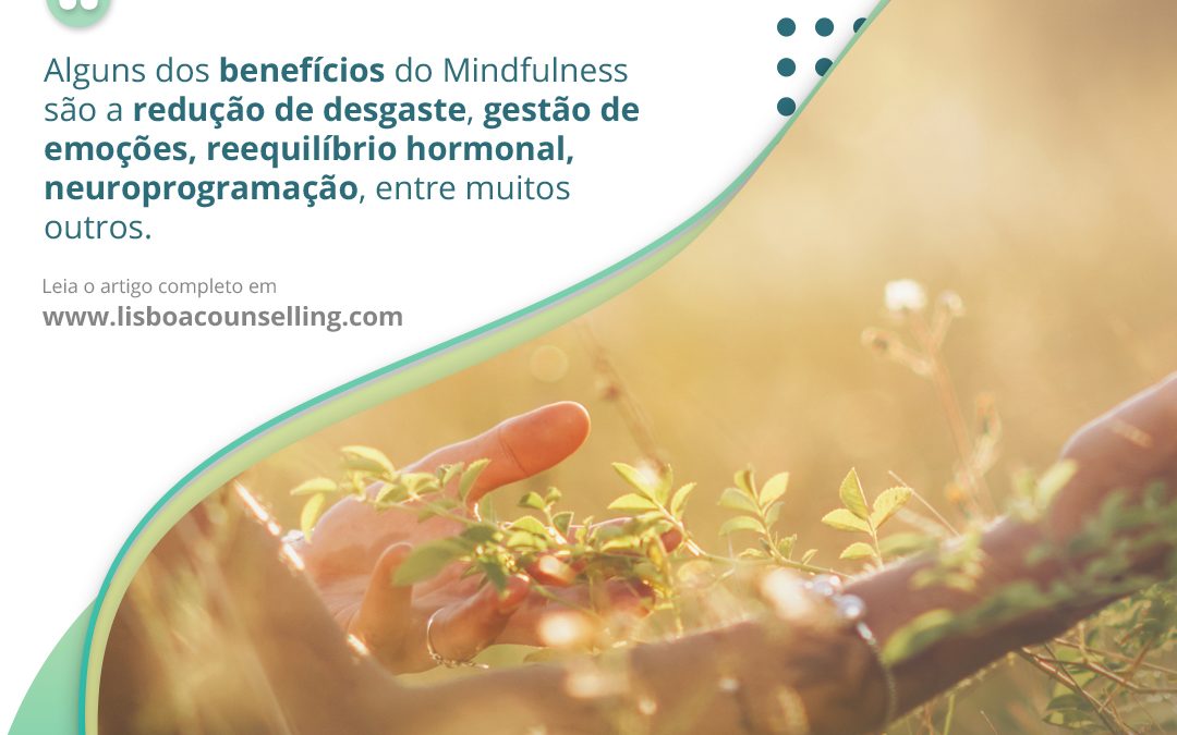 2/5. Mindfulness – Benefícios